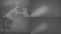 Sdružený snímek Bludný