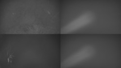 Sdružený snímek Bludný