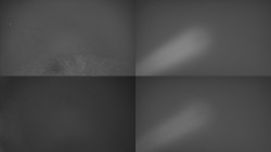 Sdružený snímek Bludný