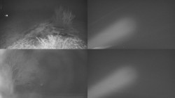 Sdružený snímek Bludný