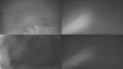 Sdružený snímek Bludný