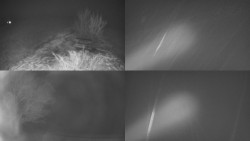 Sdružený snímek Bludný