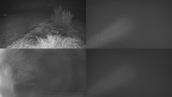 Sdružený snímek Bludný