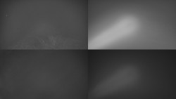 Sdružený snímek Bludný