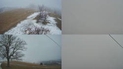 Sdružený snímek Bludný