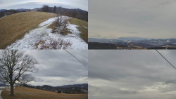 Sdružený snímek Bludný