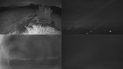 Sdružený snímek Bludný