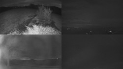 Sdružený snímek Bludný