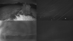 Sdružený snímek Bludný