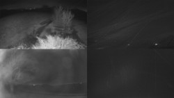 Sdružený snímek Bludný