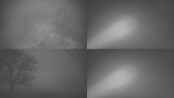 Sdružený snímek Bludný