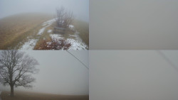 Sdružený snímek Bludný