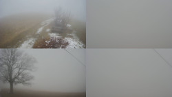 Sdružený snímek Bludný