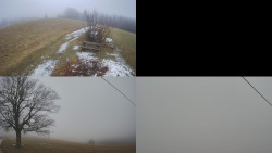 Sdružený snímek Bludný