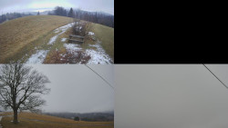 Sdružený snímek Bludný