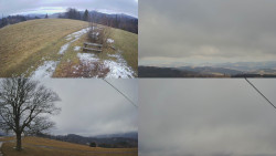 Sdružený snímek Bludný