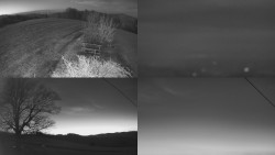 Sdružený snímek Bludný