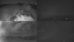 Sdružený snímek Bludný