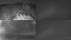 Sdružený snímek Bludný