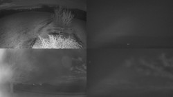 Sdružený snímek Bludný