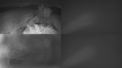 Sdružený snímek Bludný