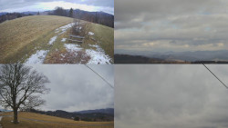 Sdružený snímek Bludný