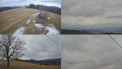 Sdružený snímek Bludný