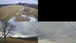 Sdružený snímek Bludný