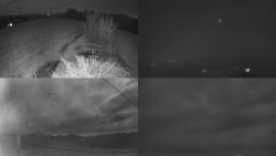 Sdružený snímek Bludný