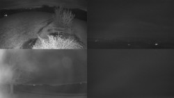 Sdružený snímek Bludný