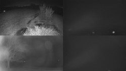 Sdružený snímek Bludný