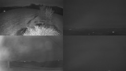 Sdružený snímek Bludný