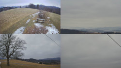 Sdružený snímek Bludný