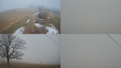 Sdružený snímek Bludný