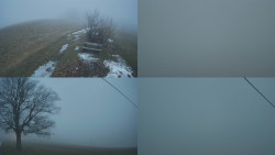 Sdružený snímek Bludný