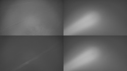 Sdružený snímek Bludný