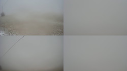 Sdružený snímek Bludný