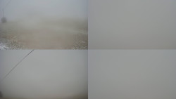 Sdružený snímek Bludný