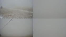 Sdružený snímek Bludný