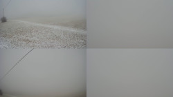 Sdružený snímek Bludný