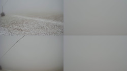 Sdružený snímek Bludný