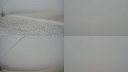 Sdružený snímek Bludný