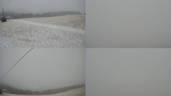 Sdružený snímek Bludný