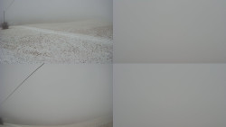 Sdružený snímek Bludný