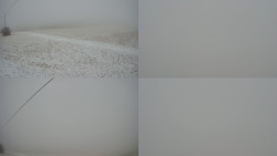 Sdružený snímek Bludný