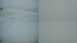 Sdružený snímek Bludný