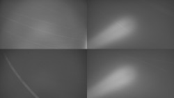 Sdružený snímek Bludný