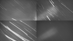 Sdružený snímek Bludný