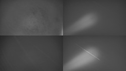 Sdružený snímek Bludný