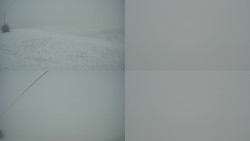 Sdružený snímek Bludný